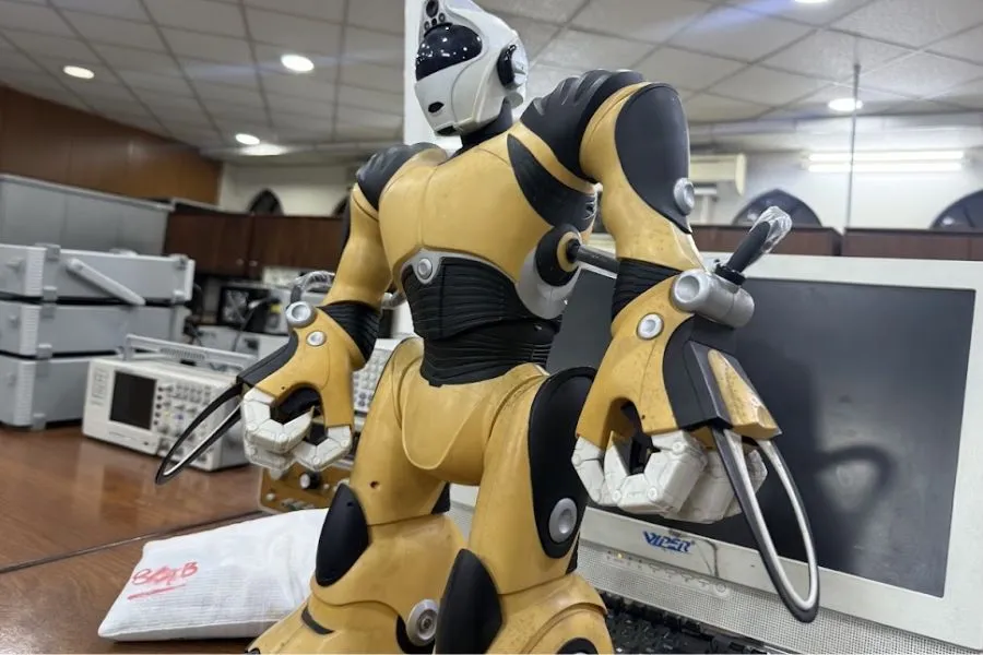 RoboSapien